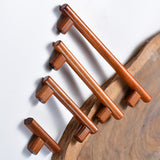 Wardrobe Door Handle